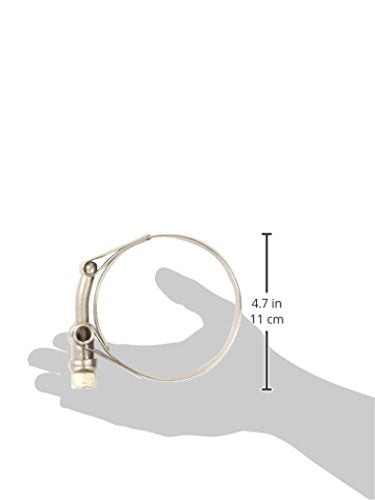 Stainless Steel T-Bolt Clamp Vibrant Performance 2792, (Pack of 2), 2-1/4"