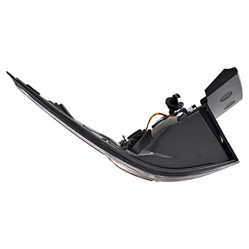Tail TYC Lamp