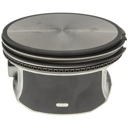 224-3861WR Mahle Piston