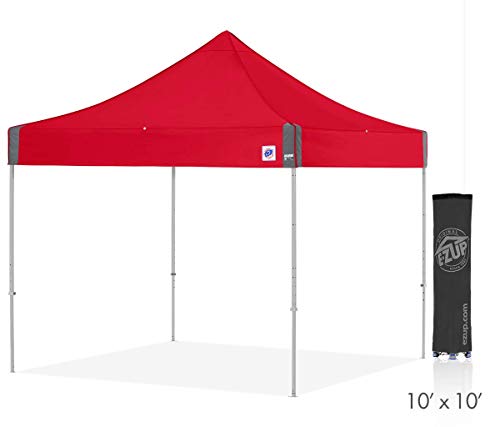 E-Z UP Instant Shelter Eclipse Canopy, 10' x 10', Gray Steel Frame and Professional Grade Punch Top