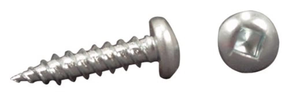 AP Products W 012-PSQ50 8 X 1 White Pan Head Square Recess Screw - Pack of 50