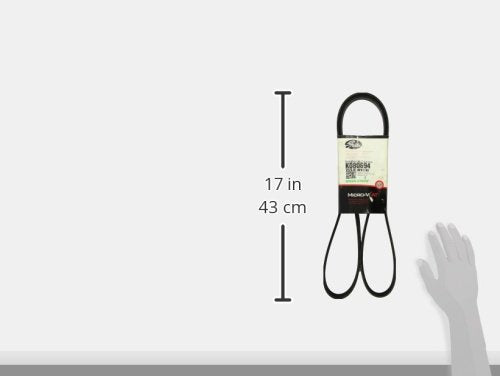 K080694 Gates Belt