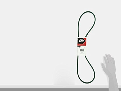 Black Gates Belt, 55" x 1/2" - 6855