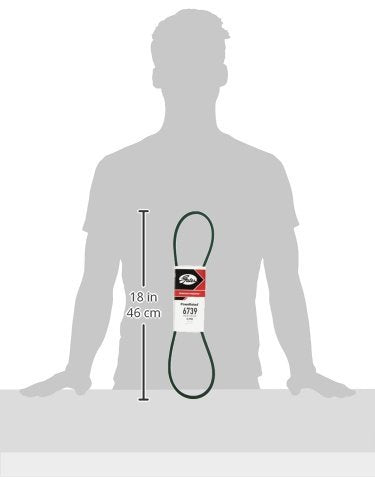 POWERATED Gates 6739 BELT