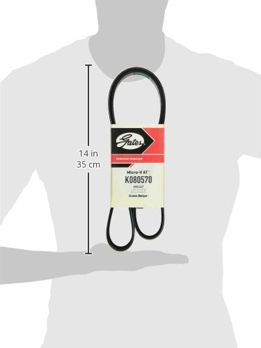 Micro-V Gates K080570 Serpentine Drive Belt