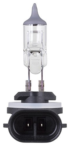 898 Philips Standard Fog Bulb (Pack of 1)