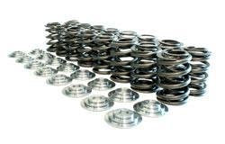 26140K Manley Valve Spring and Retainer Kit with Lock