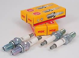 Standard NGK Plug