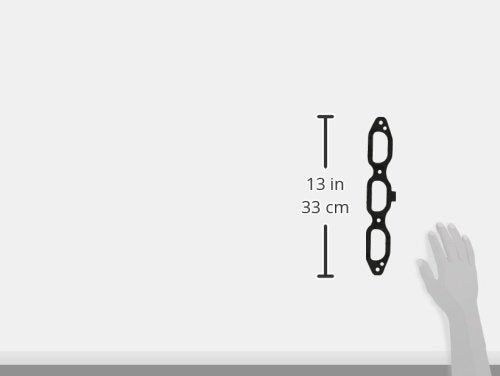 Fuel Injection MAHLE Plenum Gasket Set MS19480