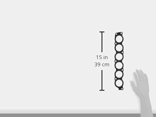 Gasket MAHLE Original MS19841