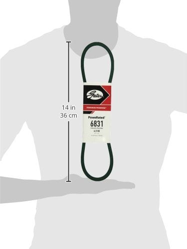 Gates 1/2" X 31" PoweRated 6831 V-Belt