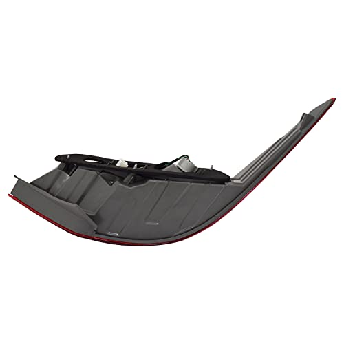 Tail TYC Lamp