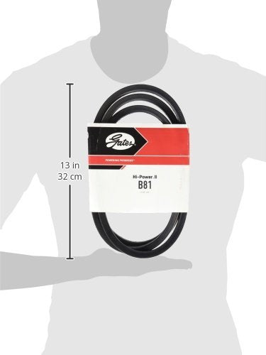 B81 Gates Belt