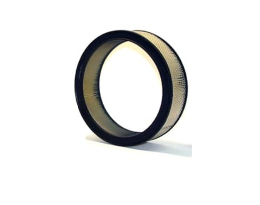 PXA42096 - Wix AIR FILTER