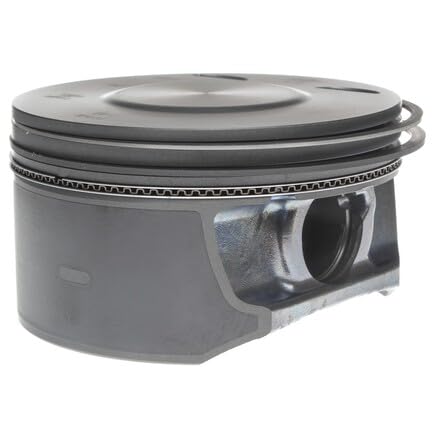224-3923WR Mahle Piston