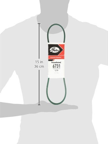 31" x 3/8" Gates-6731 Belt, Black