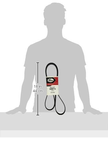 Micro-V Gates K080716 Serpentine Drive Belt