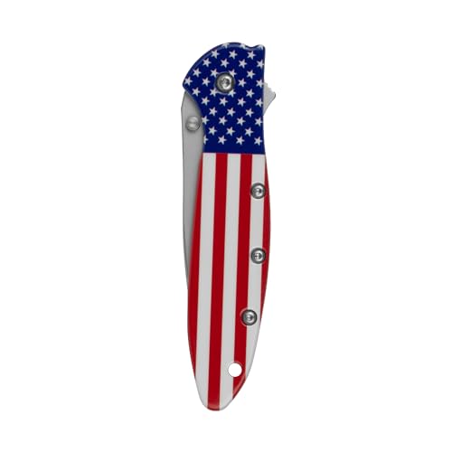 Kershaw Folding Pocket Knife Leek, 3" Sandvik 14C28N Blade, Aluminum Handle, Slim and Versatile Tool, Made in the USA