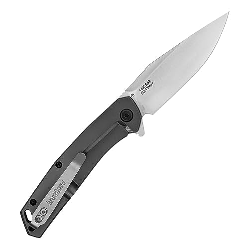Kershaw Pocket Knife Align, Gray Design, 3.15 Inch Stainless Steel Clip Point Blade, EDC with Assisted Opening, Reversible Pocketclip, Everyday Carry Pocket Knife for Men and Women