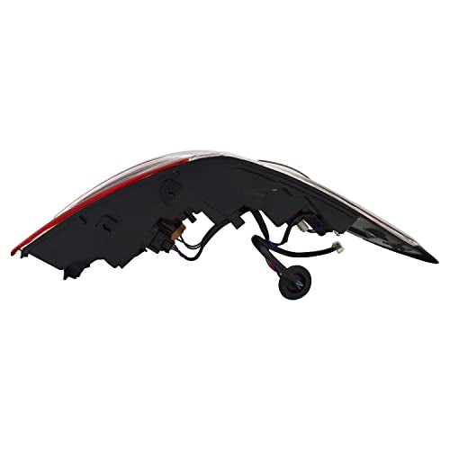 Tail TYC Lamp