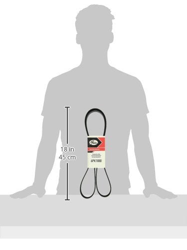 Serpentine Micro-V Drive Belt