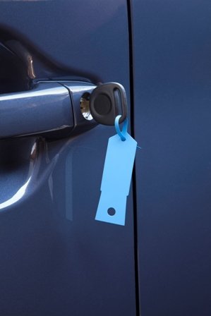 Fb-P9933-98 Blue Key Tag petoskey - 1000 Package