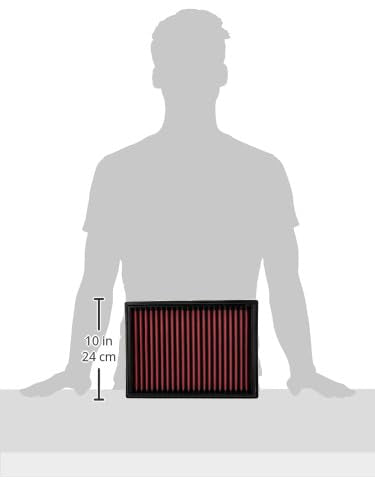 DryFlow AEM 28-20438 Air Filter