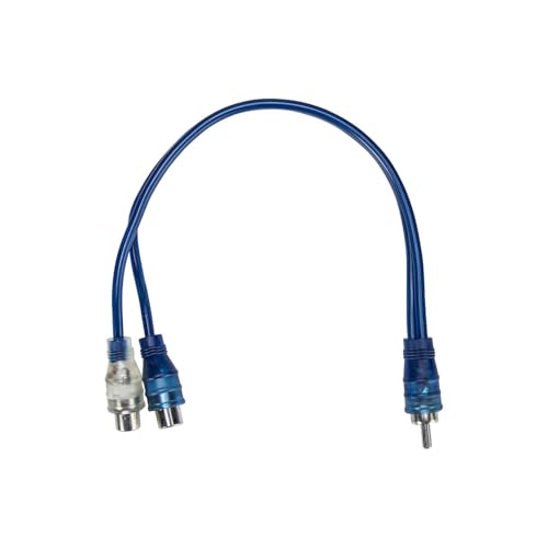 RCA Clear Blue Y 1M 2F Compact Install Bay