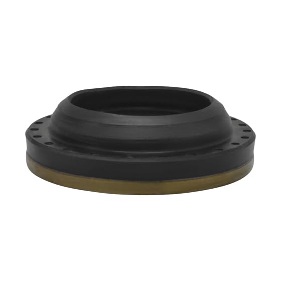 Transfer Case USA Standard NP247 Seal