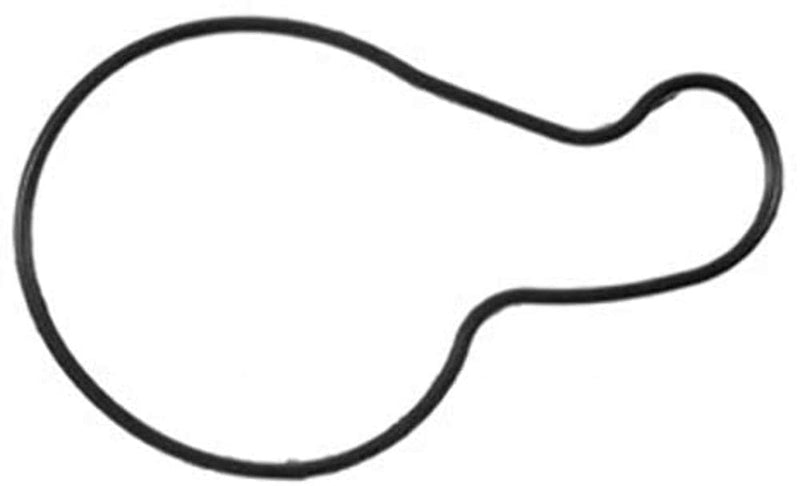 Engine Water Pump Gasket MAHLE K31501