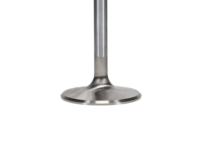 Bb Manley 118508 Vlv Ss Chv Int Set/8