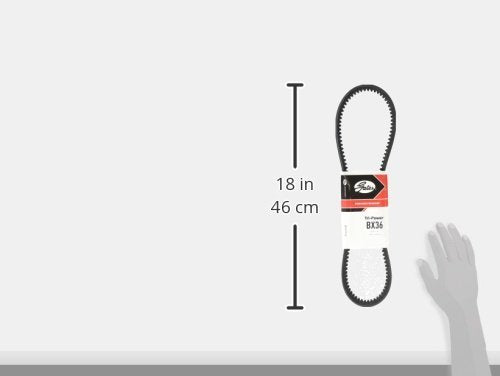 BX36 GATES BELT NEW IN BOX (1229170557 - )