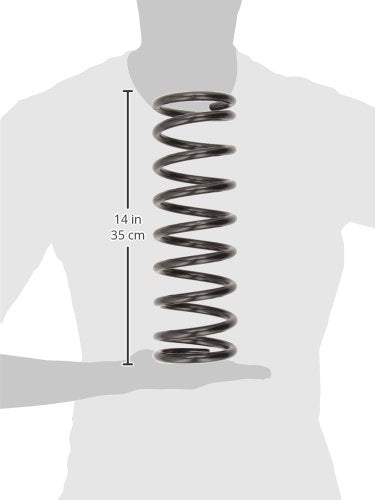 Coil Spring Set MOOG 81003 for Ford Focus
