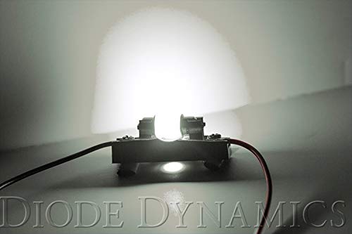 HP6 31mm LED Red Single Diode Dynamics Bulb