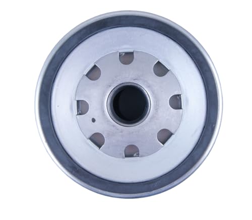 KC296D Mahle Fuel Filter