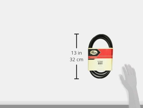 BX81 Gates Tri Power Classical Section Molded Notch V Belt