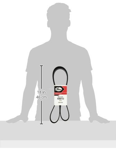 Micro-V Gates K080733 Serpentine Drive Belt