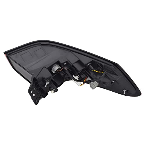 Tail TYC Lamp