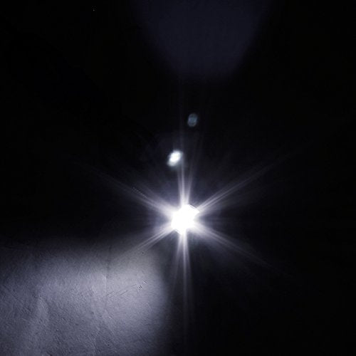 Led Light Spec-D Universal License Plate