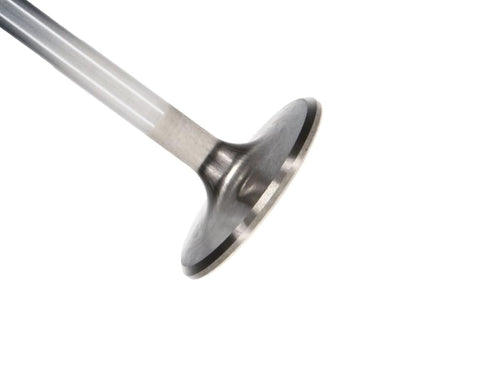 Severe Duty Manley 11817-1 1.900" Exhaust Valve for Big Block Chevy