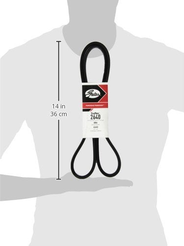 Truflex Gates 2640 Belt, black