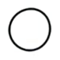 OR-4 Watts O-Ring