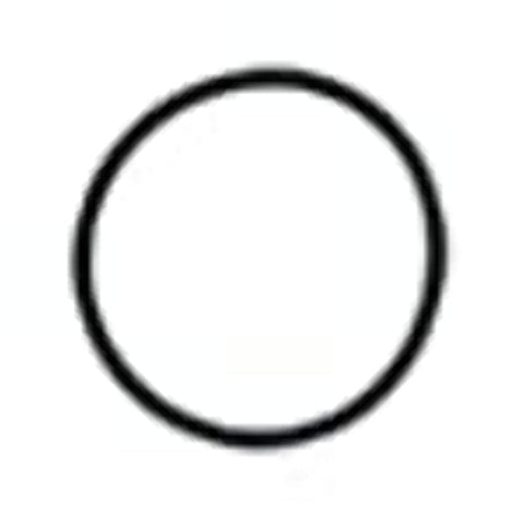 OR-4 Watts O-Ring