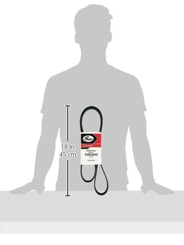 Gates FleetRunner K080680HD Micro-V Serpentine Drive Belt