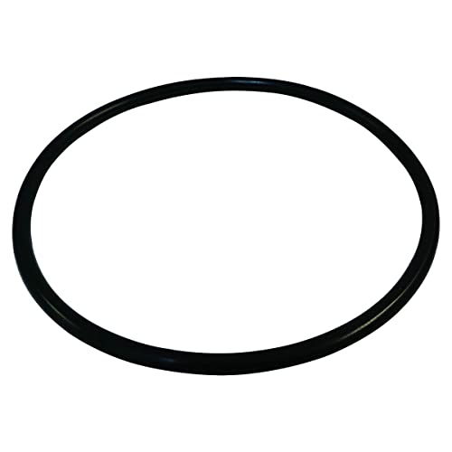 Automotive Crown Fuel Module O-Ring