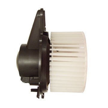 Blower Assembly Motor for Ford F-150, Expedition and Lincoln Navigator, Blackwood