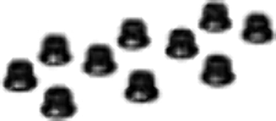 12 Pt Nut Kit 3/8-24
