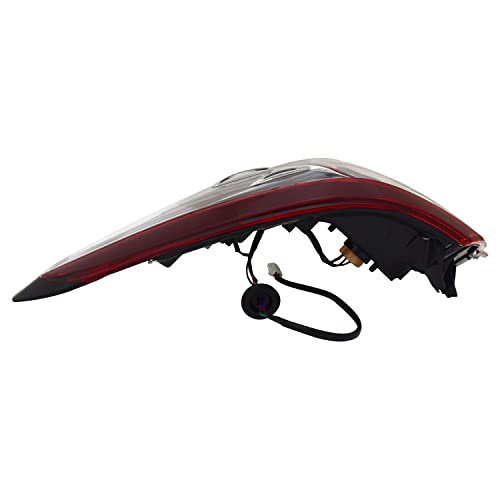 Tail TYC Lamp