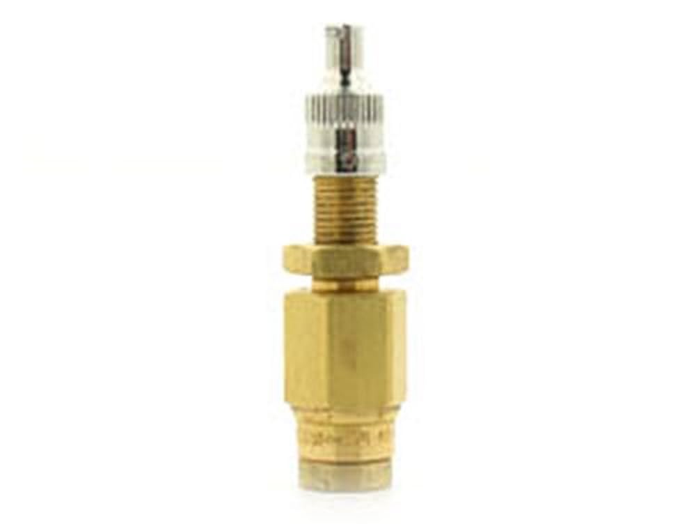 Inflation Valve Air Lift 21633 Push-to-Connect