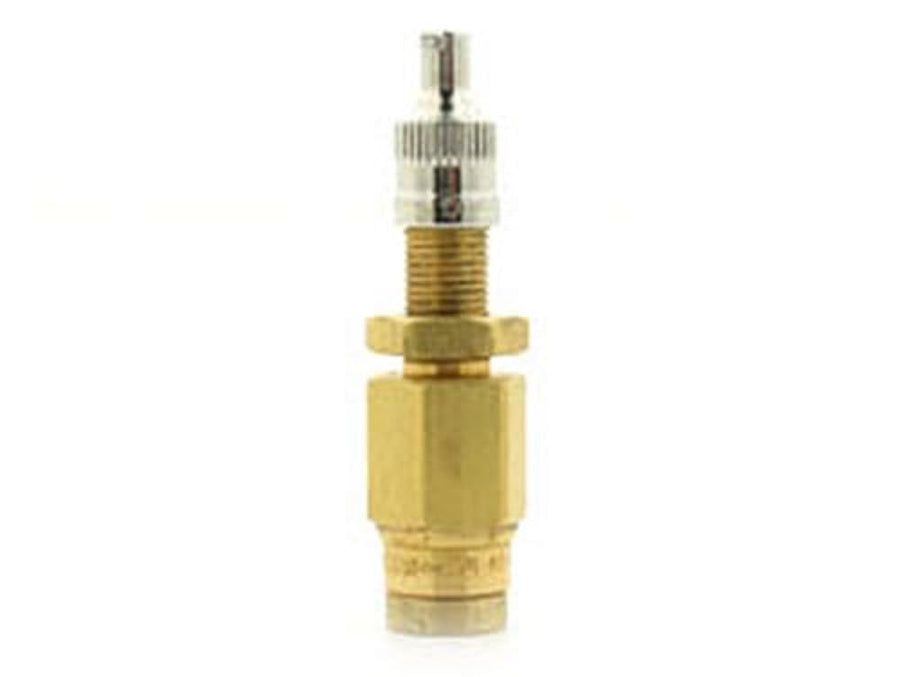Inflation Valve Air Lift 21633 Push-to-Connect